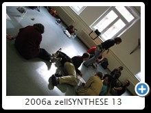 2006a zellSYNTHESE 13