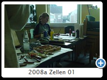 2008a Zellen 01