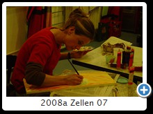 2008a Zellen 07