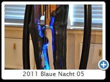 2011 Blaue Nacht 05