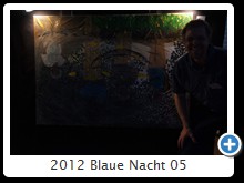 2012 Blaue Nacht 05