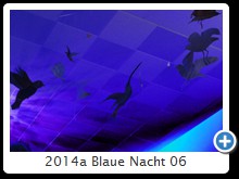 2014a Blaue Nacht 06