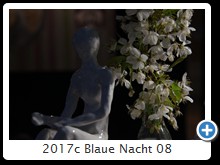 2017c Blaue Nacht 08